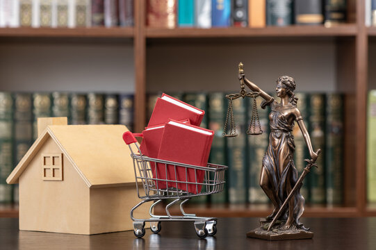 The figure of Themis, books, and a symbolic wooden house.