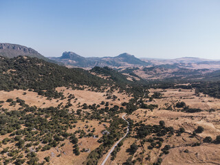 Aerial view of a winding road through dry golden hills dotted with scattered trees and distant mountain peaks under clear blue sky in Grazalema, Spain © Felix Morion