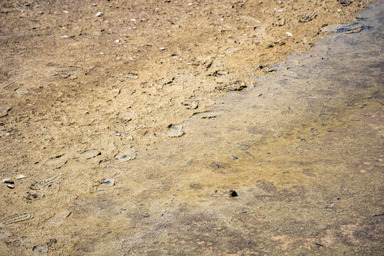 Close up of wet sandy shoreline with footprints.