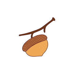 Acorns on Branches Set © Istiqomah