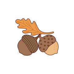 Acorns on Branches Set © Istiqomah