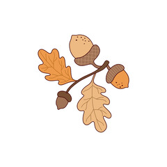 Acorns on Branches Set © Istiqomah