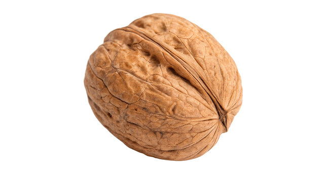 Whole organic raw walnut with textured brown shell isolated on transparent background