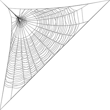 Geometric Polar Coordinate Web Design Pattern.