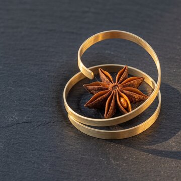 Conceptual still life of a dry whole star anise pod supported by a matte gilded brass spiral on a ground slate slab. Gilded coil holds a single star anise spice garnish for warm beverages like mulled 