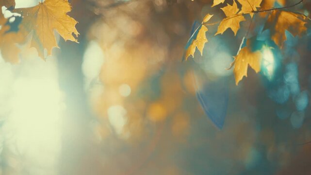 Dreamy cinematic footage of golden autumn leaves floating in sunlight with warm teal bokeh and lens flare. Soft, nostalgic mood. Perfect background for storytelling and seasonal video intros