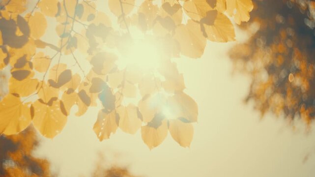 Dreamy cinematic footage of golden autumn leaves floating in sunlight with warm teal bokeh and lens flare. Soft, nostalgic mood. Perfect background for storytelling and seasonal video intros