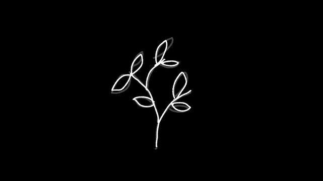 growing plant doodle line brush loop animation