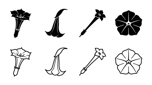 Floral Silhouettes: A collection of stylized floral illustrations in silhouette, featuring trumpet-shaped flowers and a pentagonal bloom, presented in both black and white and outline versions.