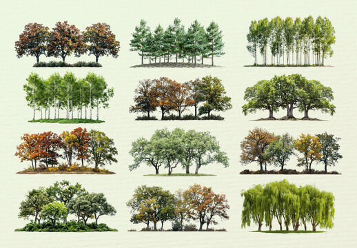 Diverse Tree Illustrations Design Set