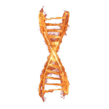 Burning DNA strand concept graphic featuring an intense fiery helix illustration isolated on white