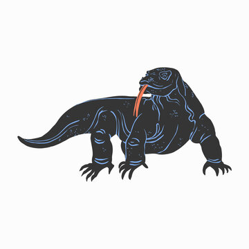 A detailed vector illustration of a black Komodo dragon lizard walking with its flicking red tongue exposed, isolated on white.