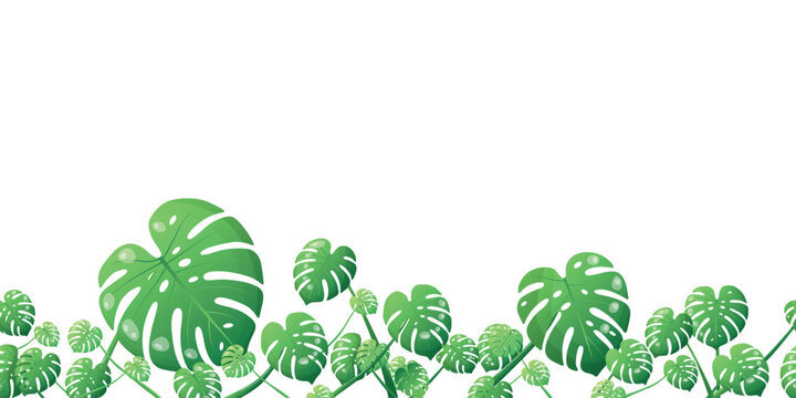Tropical monstera border background featuring copy space