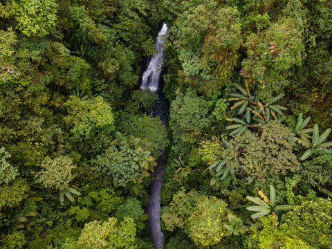 Aerial View of Hidden Lesung Waterfall Deep in the Jungle on the Slopes of Mount Slamet, A Cave-Like Tunnel Formed by Wild Trees, Moss, and Rocks Frames the Waterfall in Indonesia.