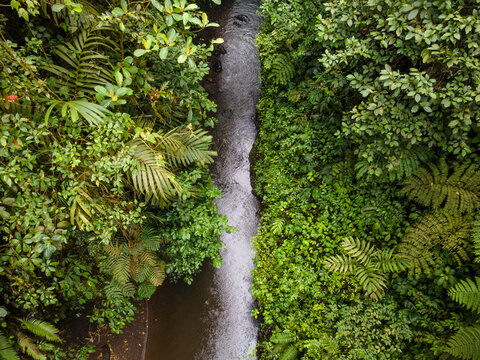 Aerial View of a Hidden River Flowing Through Dense Tropical Jungle on the Slopes of Mount Slamet, Indonesia. The Pristine Forest Stream Is Surrounded by Wild Trees and Lush Vegetation.
