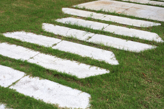 Grey stepping stones lined up in the garden.