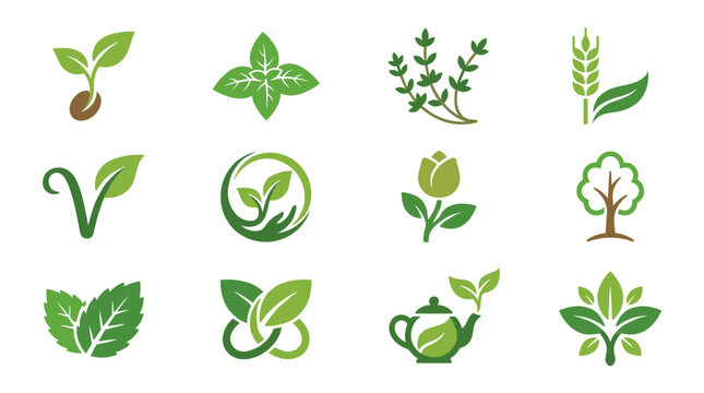 Minimalist green leaf icons, set of 12 organic plant symbols and botanical vector graphics, natural herbal logo elements for eco-friendly branding, sustainable agriculture and tea icons.