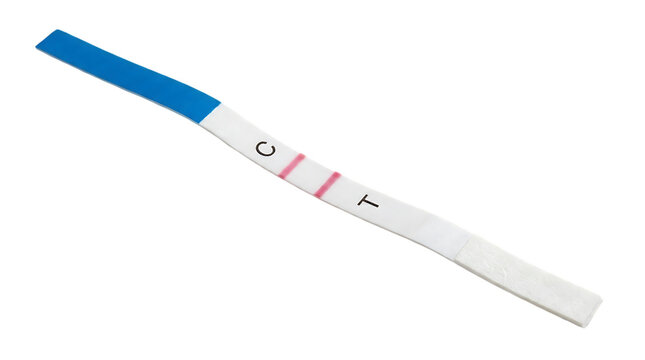 Positive pregnancy test strip with two red lines. Medical rapid diagnostic test showing HCG hormone results. Healthcare and fertility concept. isolated PNG with Transparent Background