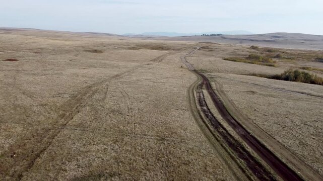 Field destroyed by vehicles with deep tire tracks. Drone shot of a ruined dry grassland landscape with wheel ruts. Worn dirt path with deep tire tracks winding through a barren field.