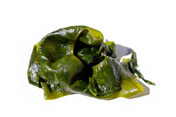 Fresh green wakame seaweed on a white background. © Bowonpat