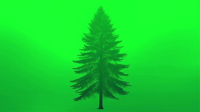 Minimalist gradient mesh evergreen loop, abstract background