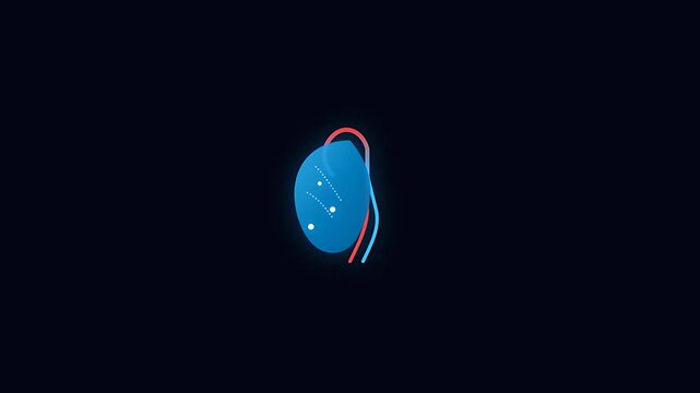 Glowing anatomical human kidney organ motion graphics seamless loop visualization of internal medicine nephrology renal care blue medical technology presentation stock footage