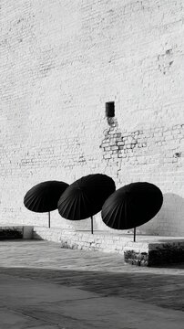 Three black umbrellas stand in a row against a white brick wall background, creating a stark contrast in this black and white.