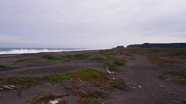 A very austere black-sand beach, filmed from ground level, Chile
