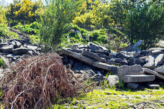 A pile of cracked concrete slabs scattered across an overgrown patch of vegetation