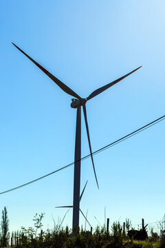 Large Wind Turbine in Open Field Biob&iacute;o Chile