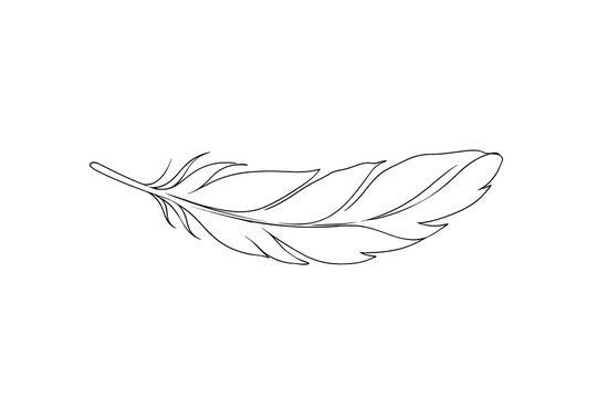 Minimalist black continuous line vector of a single floating feather on white background