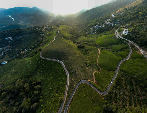 Aerial view of the lush green tea plantations of Munnar with winding roads cutting through the hills in Munnar, Kerala, India.