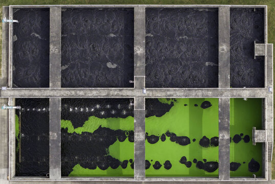 Aerial view of wastewater treatment plant aeration basins with distinct dark and bright green algae growth in concrete tanks in Gallatin, Tennessee, United States.
