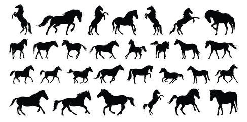 Fototapeta premium horse silhouette set. horse different poses isolated farm animal silhouette icon vector collection