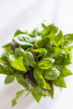 Vertical closeup of fresh basil herb bunch on white fabric background for packaging background and culinary poster design
