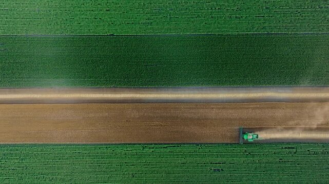 Overhead drone view of a combine harvester between green crop fields