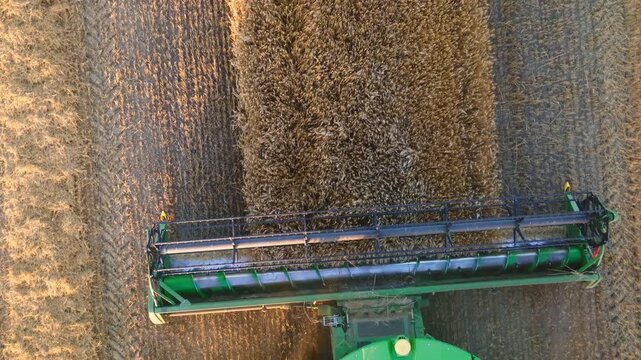 Overhead view of a combine harvester cutting a strip of crops