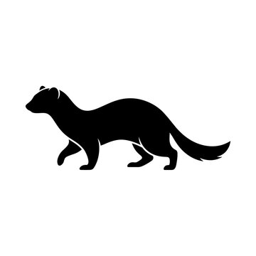 Black silhouette of sleek marten or ferret walking for wildlife and nature conservation design elements.