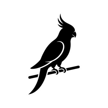 Cockatiel parrot silhouette perched on branch for pet shop and bird watching themes.