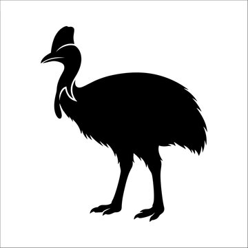 Black silhouette of a standing cassowary bird on a transparent background for graphic design.