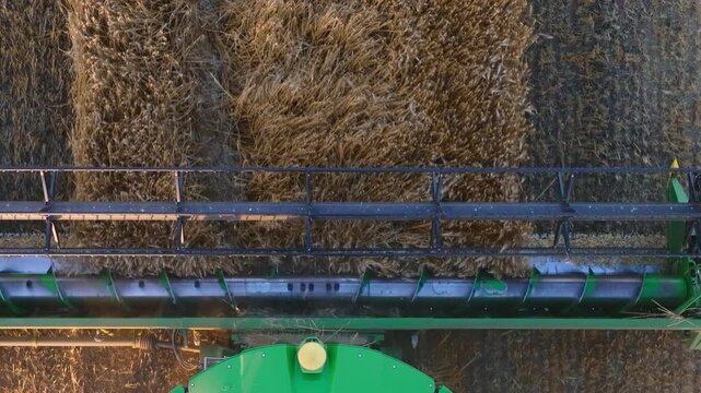 Combine harvester cutting a ripe crop with its wide header, seen directly from above. Close aerial tracking shot follows the harvesting mechanism through a golden field during mechanized farm work.