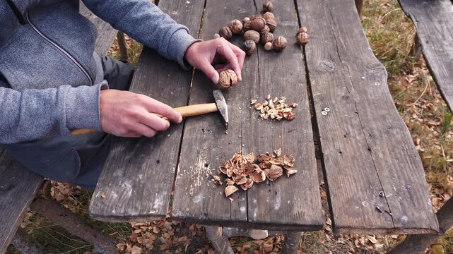 Man cracking walnuts with hammer on wooden table outdoor 