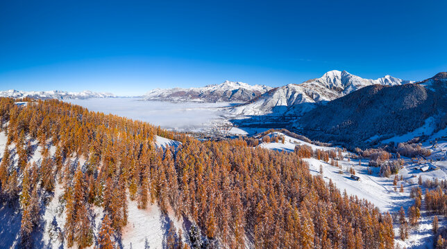 Aerial autumn view of the Champsaur Valley in the French Alps, with golden larch forest and snow-capped mountains. Ancelle, Hautes-Alpes, France