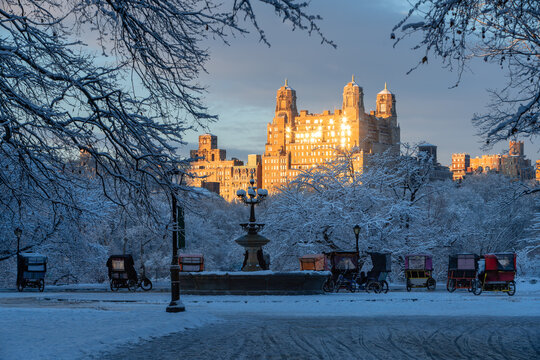 Winter scene in Central Park after a snowstorm, with snow-covered trees and a sunset-lit building in the Upper West Side, Manhattan, New York City, USA