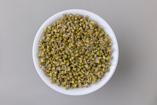 Mung Bean sprouts in a white bowl with grey background. 