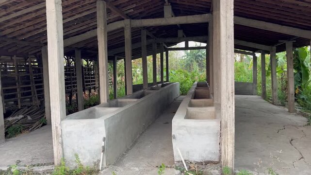 Empty traditional cattle shed interior with concrete feeding troughs