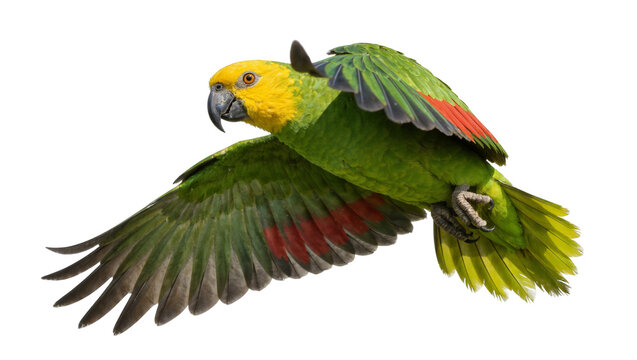 Green parrot with yellow head and red wing accents flying, isolated on transparent background