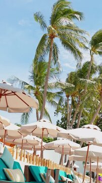 Vertical. Palm Trees Sway Above White Beach Umbrellas and Turquoise Lounge Chairs at a Tropical Resort, Evoking Sunny Vacation and Relaxation