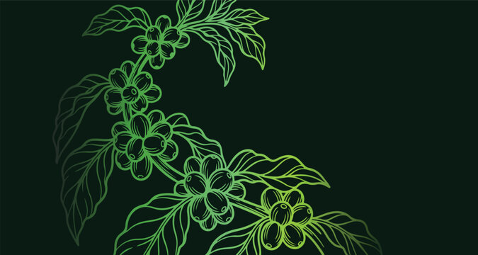 neon green coffee branch botanical line art, glowing coffee bean plant illustration, dark background nature sketch graphic, luminous agricultural leaf pattern, glowing coffee plant design element, dar