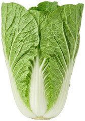 Fototapeta premium Fresh Napa cabbage head isolated.